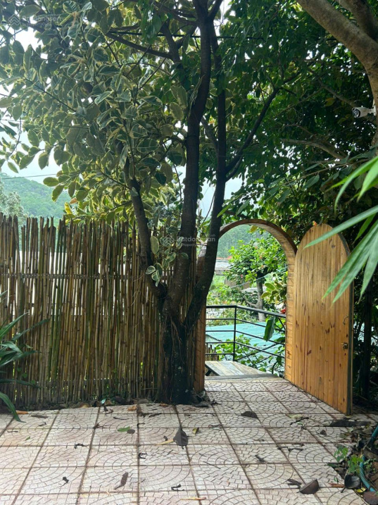 Mimosa – Cổng đi bộ