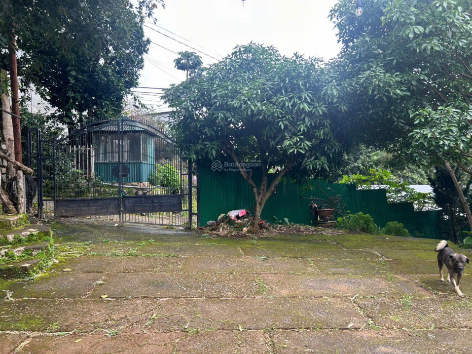 Mimosa – Gara phụ (6 ô tô)